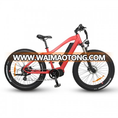 High Power 48V 750W Brushless Bafang Mid Drive Ebike With Suspension