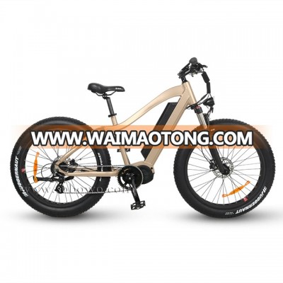 High Power Brushless Bafang Mid Drive Fatboy Electric Bike With Suspension