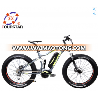 Wholesale electric bike/electric bicycle 24V 250W/36V 500W