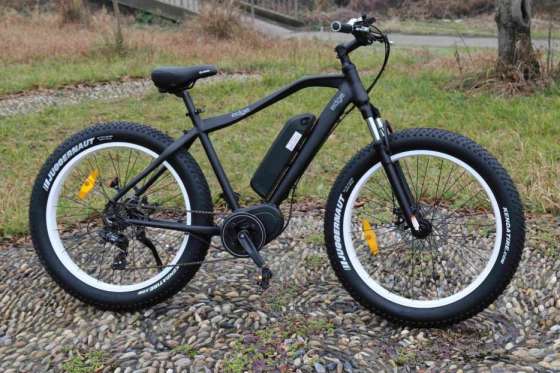 250W Bafang MID Motor Mountain Electric Bicycle Made in China