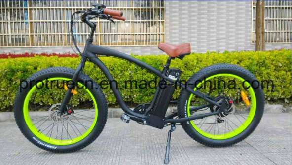 LED Light Lithium Battery Electric Bicycle