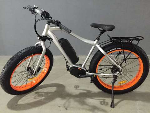 Most Famous Electric Bike Mountain Type Ebike with 48V 350W MID Drive Motor